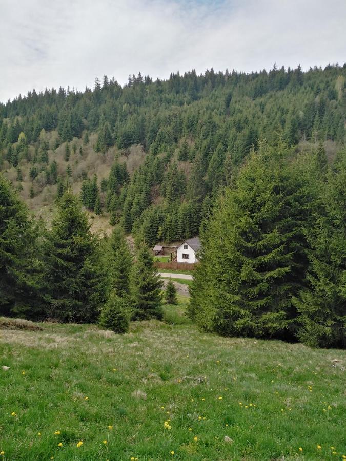 Csillag Kulcsoshaz Villa Gheorgheni  Eksteriør bilde